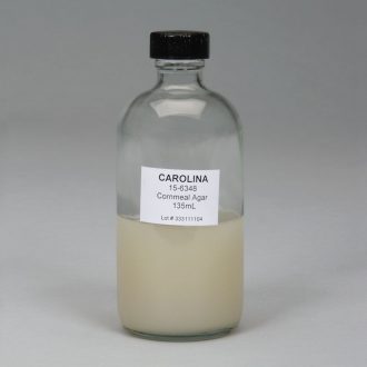 Cornmeal Agar, Prepared Media Bottle, 135 mL