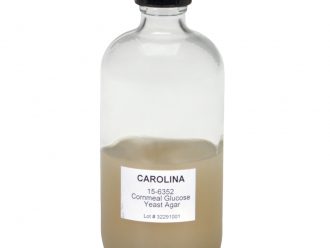 Cornmeal-Dextrose-Yeast (Sordaria) Agar, Prepared Media Bottle, 125 mL