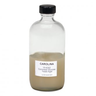 Cornmeal-Dextrose-Yeast (Sordaria) Agar, Prepared Media Bottle, 125 mL