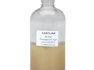Dictyostelium Agar, Prepared Media Bottle, 125 mL
