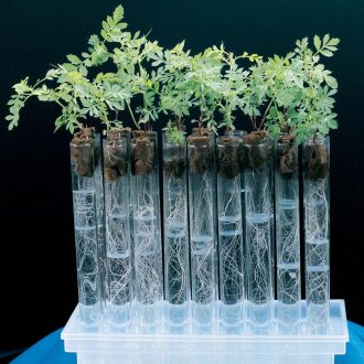 Hydro-Tube Gardening Kit Refill