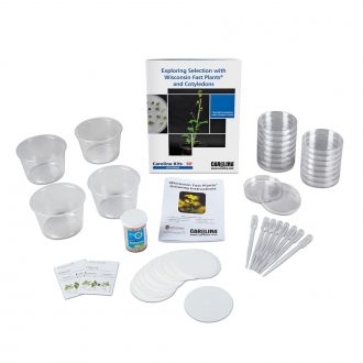 Exploring Selection with Wisconsin Fast Plants® and Cotyledons Kit