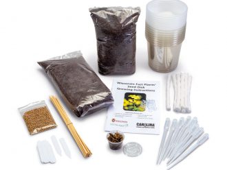 Self-Watering Plant Growing System, Class Set