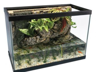 River Tank Complete Ecosystem