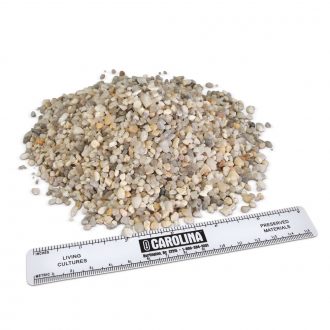 Aquarium Gravel, 1 lb