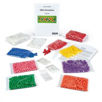 Carolina BioKits®: DNA Simulation 10-Station