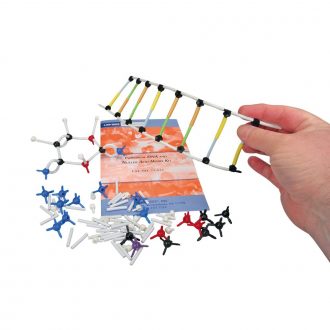Individual DNA and Molecular Model Kit