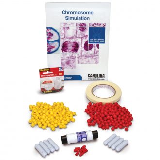 Chromosome Simulation 10-Station Kit