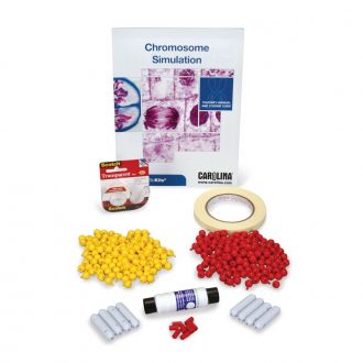 Chromosome Simulation 1-Station Kit