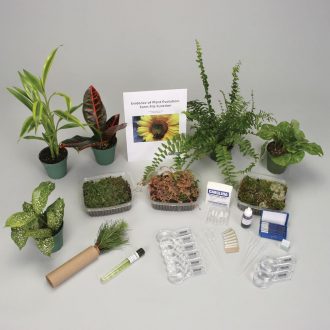 Evidence of Evolution: Form Fits Function Kit (with Perishables)