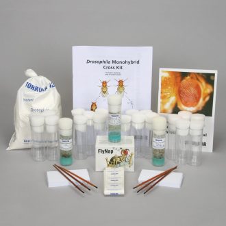 Drosophila Monohybrid Cross Kit (with perishables)