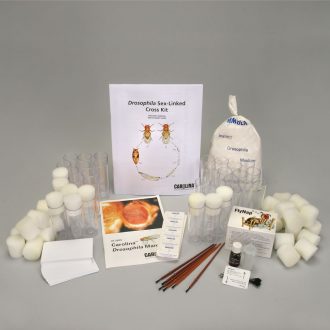 Drosophila Sex-Linked Cross Kit (with perishables)