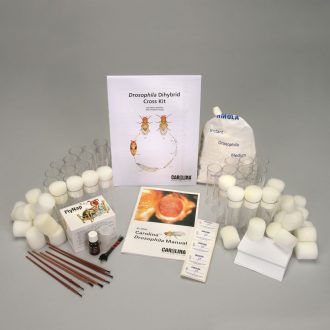 Drosophila Dihybrid Cross Kit (with perishables)
