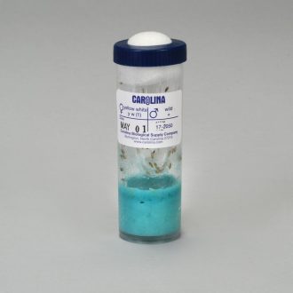 Drosophila, Living, Two-Point Linkage, Vial of 50–70