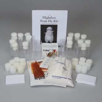 Flightless Fruit Fly Kit (with voucher)