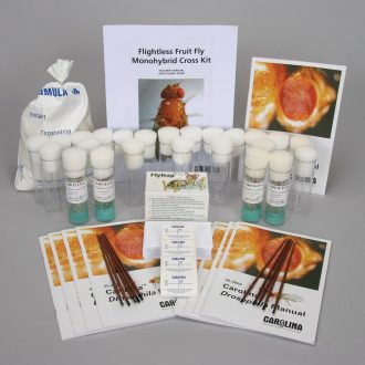 Flightless Fruit Fly Monohybrid Cross Kit (with Perishables)