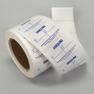 Vial Labels for Drosophila Crosses, Roll of 500