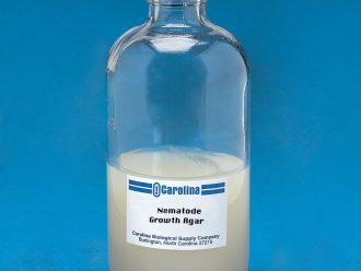 Nematode Growth Agar, Prepared Media Bottle, 135 mL