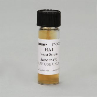 Saccharomyces cerevisiae, HA1 Strain, a, ade1