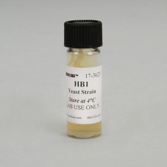 Saccharomyces cerevisiae, HB1 Strain, alpha (α), ade1, Living