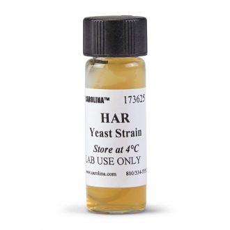 Saccharomyces cerevisiae, HAR Strain, a, ade2