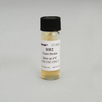 Saccharomyces cerevisiae, HB2 Strain, alpha (α), ade2, Living