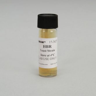 Saccharomyces cerevisiae, HBR Strain, alpha (α), ade2, Living
