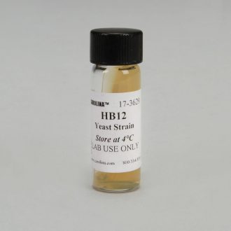 Saccharomyces cerevisiae, HB12 Strain, alpha (α), ade1 ade2, Living