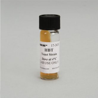 Saccharomyces cerevisiae, HBT Strain, alpha (α), trp5, Living