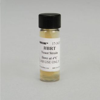 Saccharomyces cerevisiae, HBRT Strain, alpha (α), ade2 trp5, Living