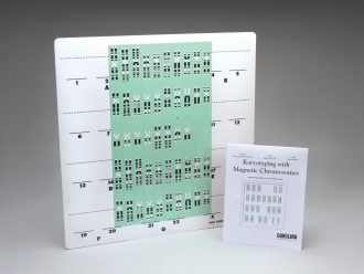 Karyotyping with Magnetic Chromosomes Demonstration Kit