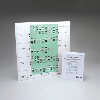 Karyotyping with Magnetic Chromosomes Demonstration Kit