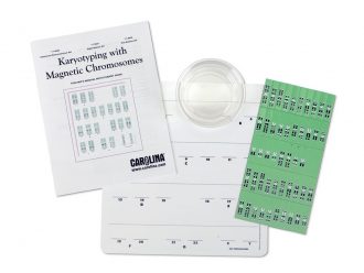 Karyotyping with Magnetic Chromosomes 1-Station Kit