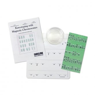 Karyotyping with Magnetic Chromosomes, Replacement Chromosome Set