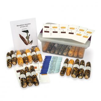Mendelian Genetics of Corn Kit