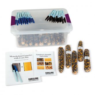 Monohybrid Genetics with Corn Kit