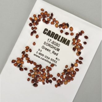 Sorghum Seed, Red:Green, Pack 200