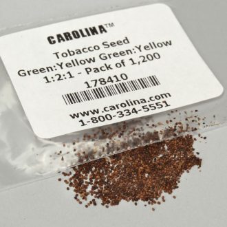 Tobacco Seed, Green:Yellow Green:Yellow 1:2:1