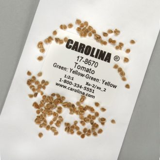 Tomato Seed, Green:Yellow Green:Yellow 1:2:1, Pack 100