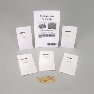 Squash, Irradiated Seed Set, 5 Packs of 50