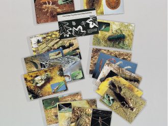 LaMotte® Aquatic Macroinvertebrate Life Cycle and Habitat Flash Card Set