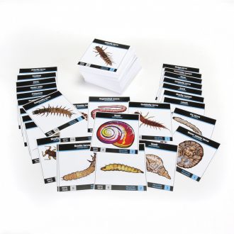 Carolina® Aquatic Macroinvertebrate Card Set