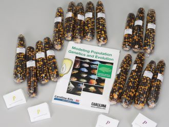 Modeling Population Genetics and Evolution Kit