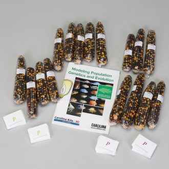 Modeling Population Genetics and Evolution Kit