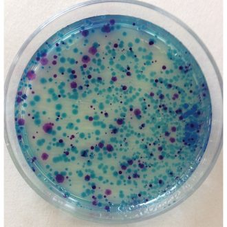 Chromogenic Medium, Dehydrated, 5.2 g