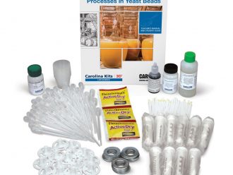 Investigating Cellular Respiration and Anaerobic Processes in Yeast Beads Kit