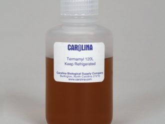 Termamyl