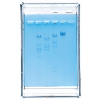 Exploring Restriction Analysis and Electrophoresis of DNA Replacement Kit