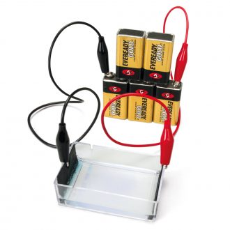 Exploring Electrophoresis and Forensics Demonstration Kit