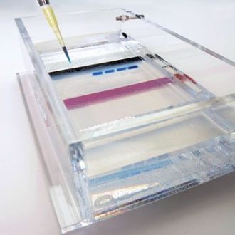 Fast Gels 4-Station Student Kit, with Perishables